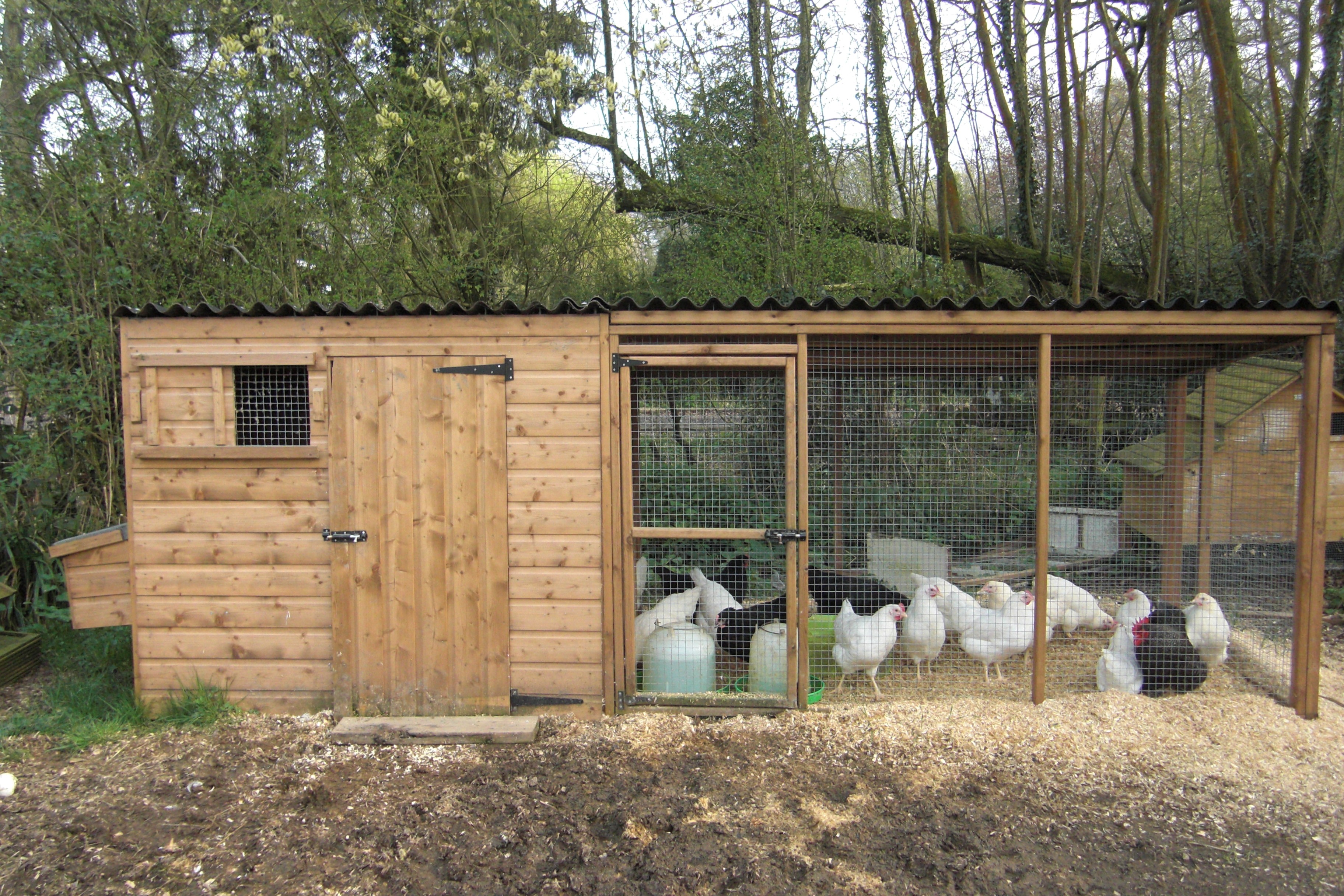 Top 3 reasons to have a second chicken house
