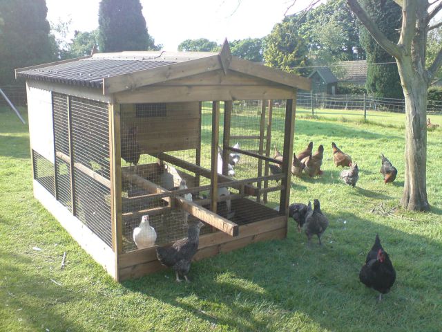 Chicken house