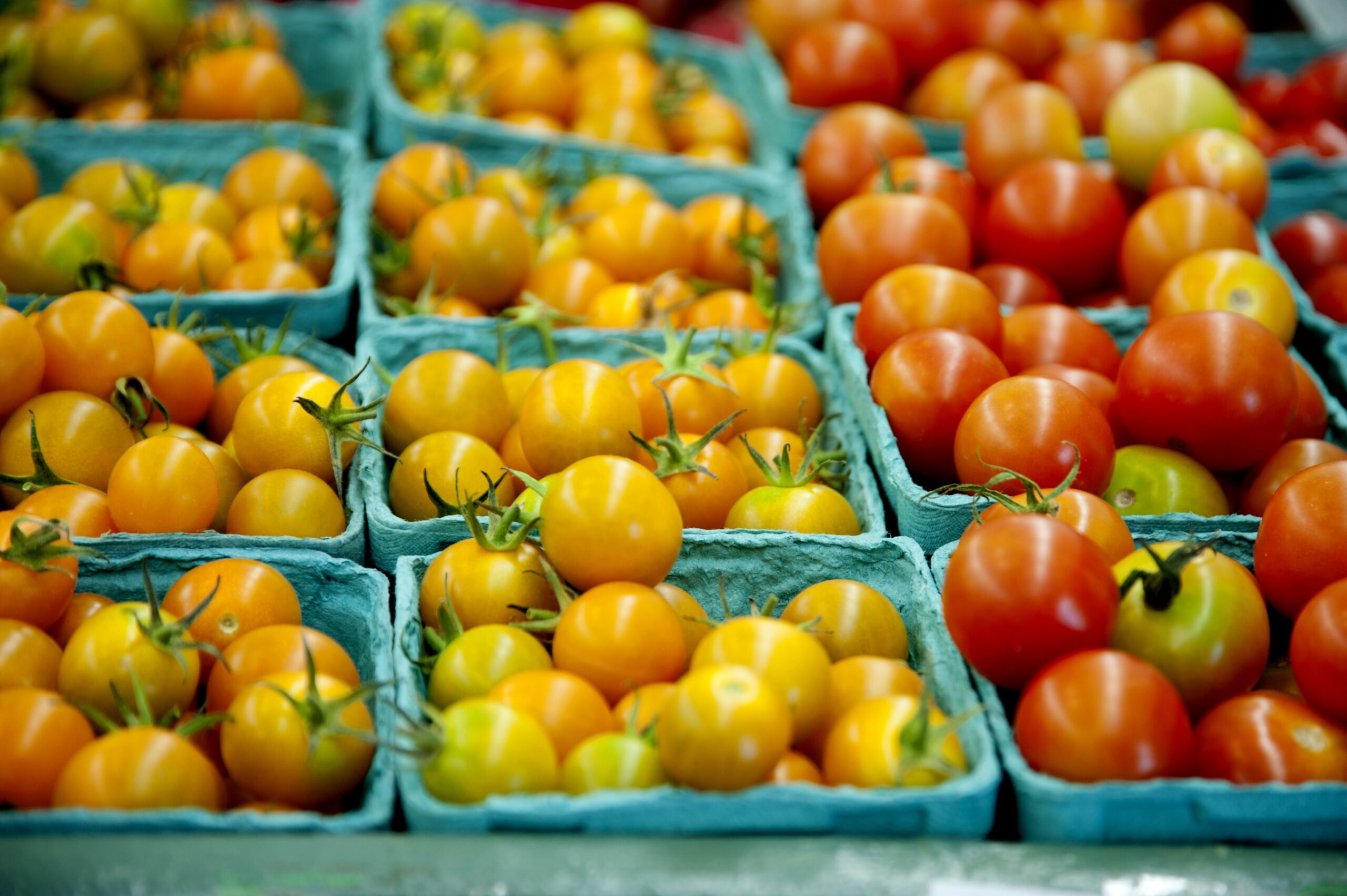 How You Can Successfully Sell Tomatoes For Profit