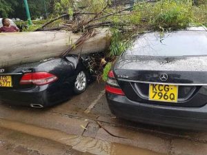 Nairobi Floods: photos of cars destroyed outside Serena
