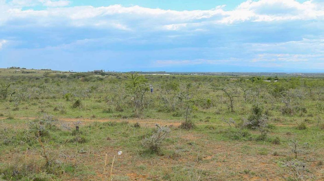 How Kenyans get conned into buying cheap 'wilderness' plots