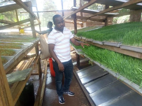 John Kiruthi: I quit my Job as a Computer Programmer To Venture into Agribusiness