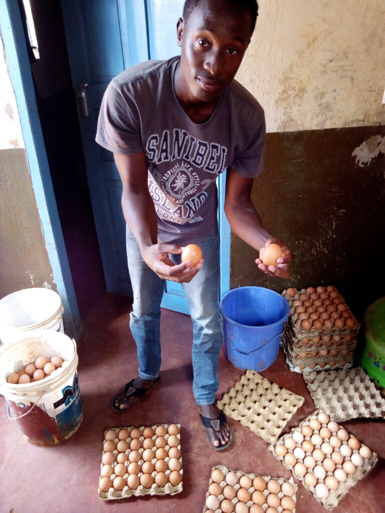 Meet  Moi University second year student making fortune out of poultry