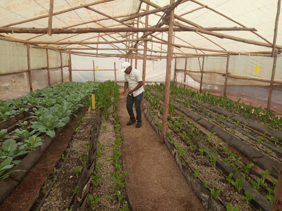 John Kiruthi: I quit my Job as a Computer Programmer To Venture into Agribusiness