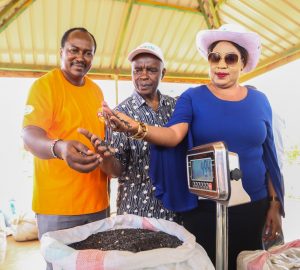 Makueni Sunflower Farmers Reap From Partnership With DigiFarm