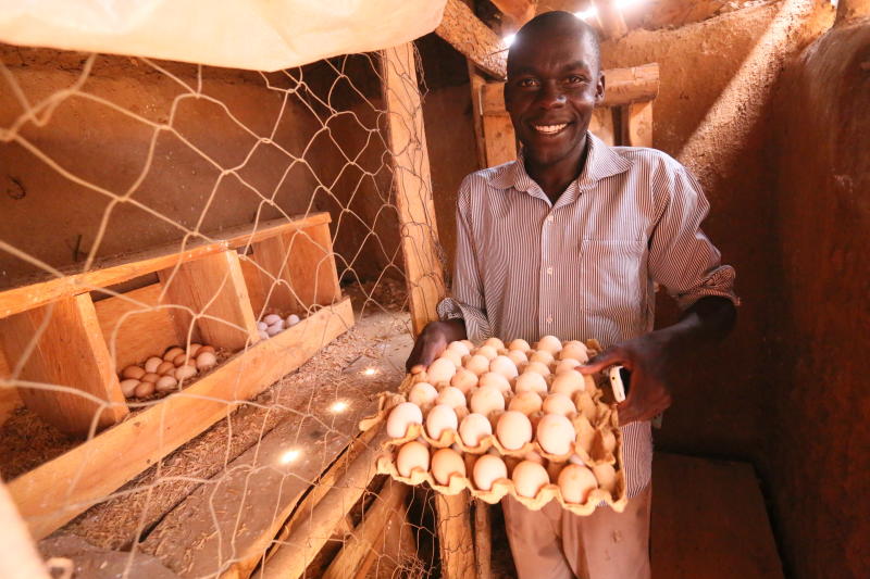 Farming Kienyeji Chickens