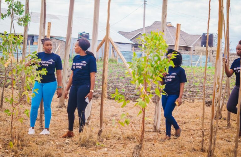 The top 5 recreational facilities along Kangundo Road