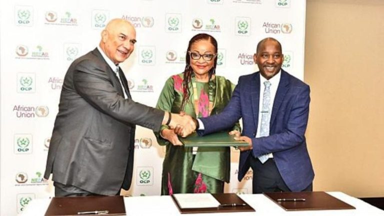 Ecobank launches MSME Academy in partnership AUDA-NEPAD