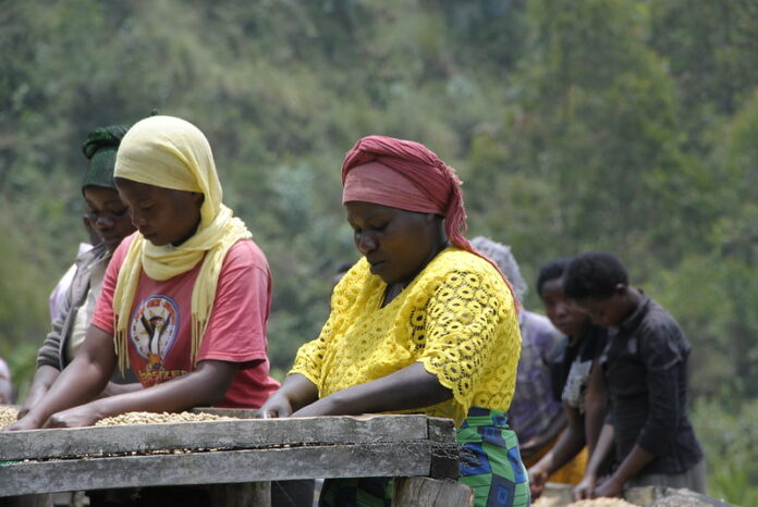 GBF Africa operations - Bizna Kenya