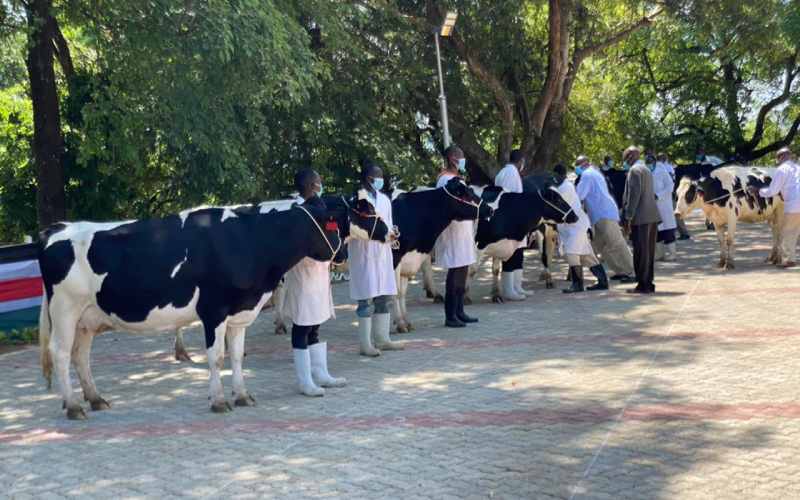 Uhuru gifts visiting Burundi president Ndayishimiye 50 heifers