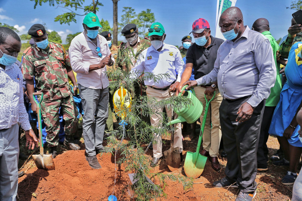 Safari Rally and FIA to plant 19 million trees to conserve the environment