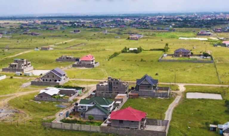 Ardhi Sasa
