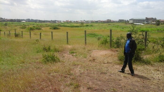 Buying Land for Speculation