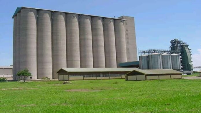 Digifarm Kenya