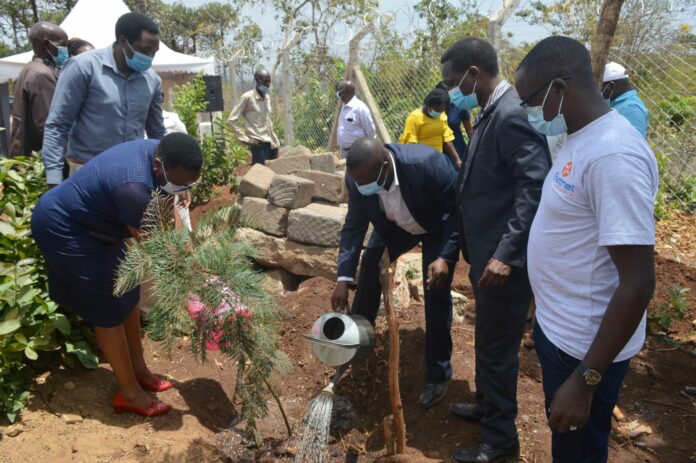 Murang'a County Programs Coordinator Joseph Ngugi and other County officials planting a tree during the inauguration of Maragua Ridge Water and Food Security Program - Bizna Kenya