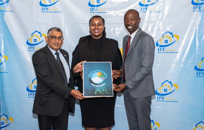 Annual Shadow Budget