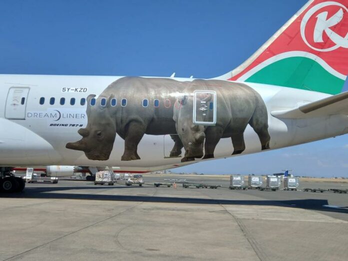 aircraft servicing license