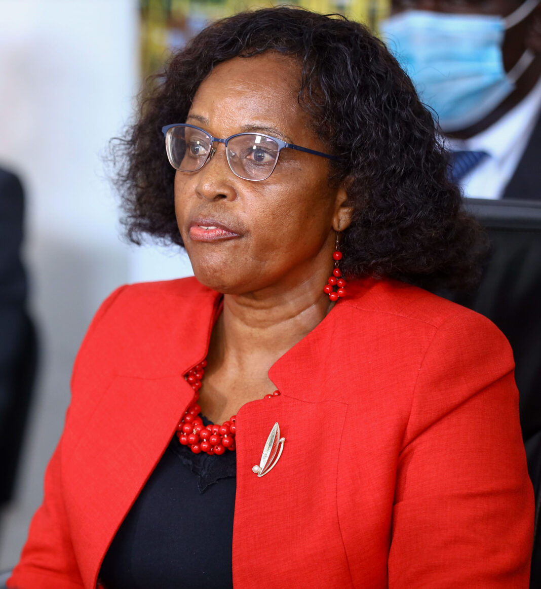 Mary Mwadime KEMSA Chairperson - Bizna Kenya