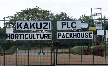 KRA opens investigations on Kakuzi