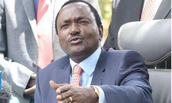 Kalonzo: Supreme Court must rule no General Election has taken place