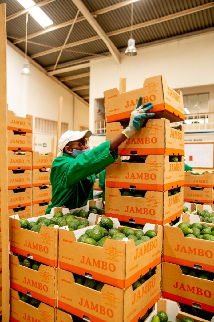 Avocado shipment