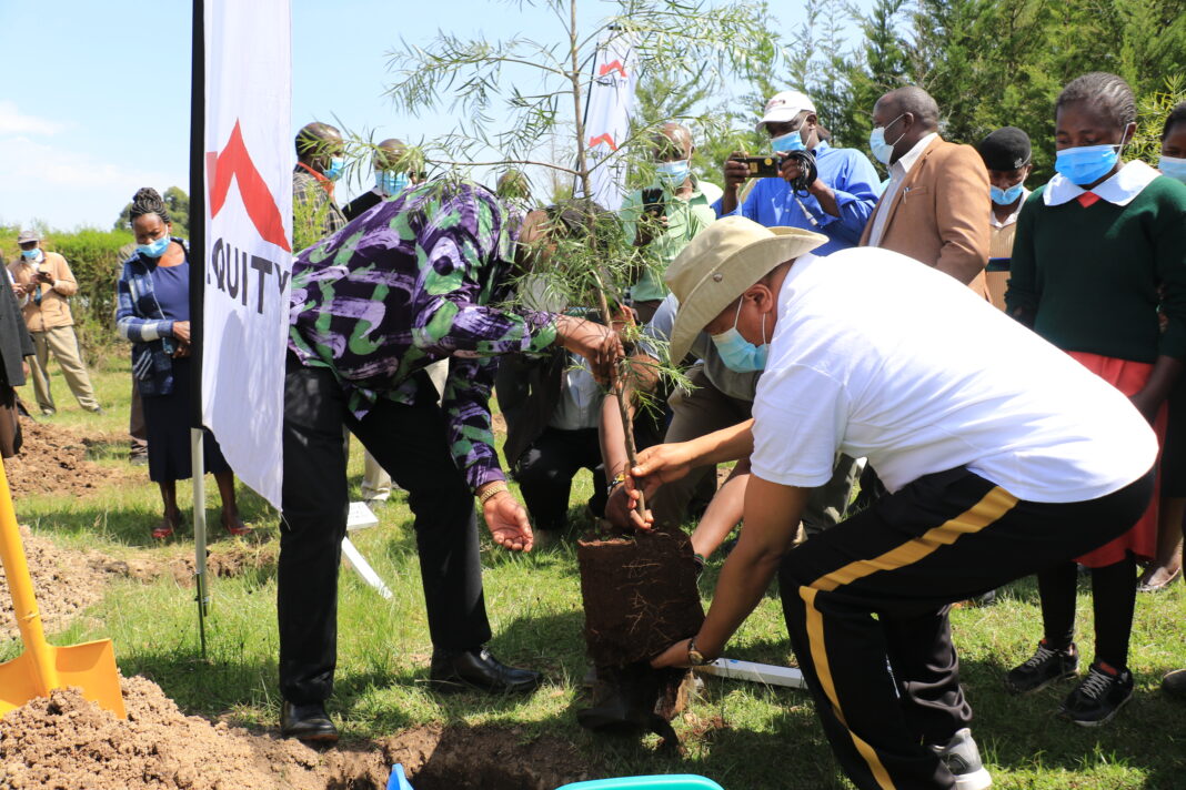 Equity has planted 19 million trees so far, calls Kenyans to join in during the expected short rains - Bizna Kenya