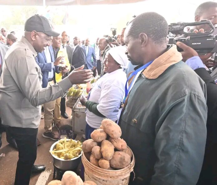 Revealed: How Kenyans can easily make billions with President William Ruto's Hustler Fund Money