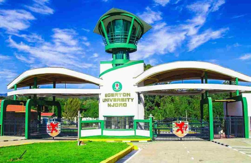 Half salaries driving us into depression, Egerton University lecturers say