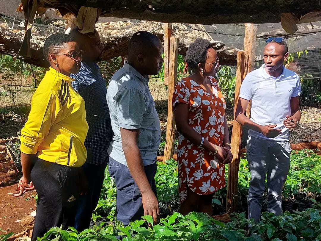 Charlene Ruto's two-acre farm project in Murang'a County