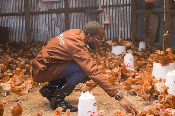 From chicken farming to parliament: Story of Kitutu Masaba MP Clive Gisairo