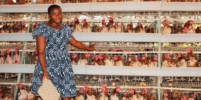 Anna Ndunda chiken farming