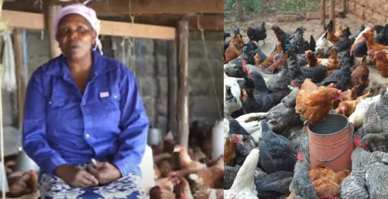 Pauline Osoro: My tough journey to building profitable Kienyeji chicken business