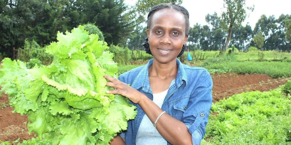 Julie Barmasai: I quit my unrewarding lecturer job to venture into organic farming