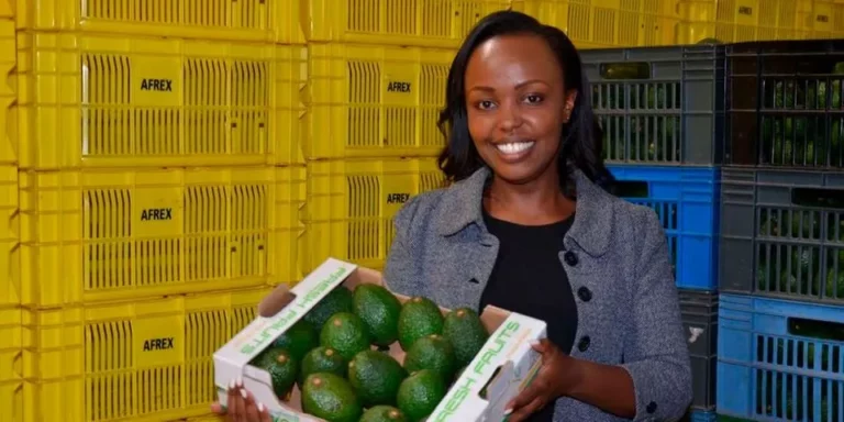 Shiro Ndirangu: Lady who quit her bank job to become top Hass Avocado exporter