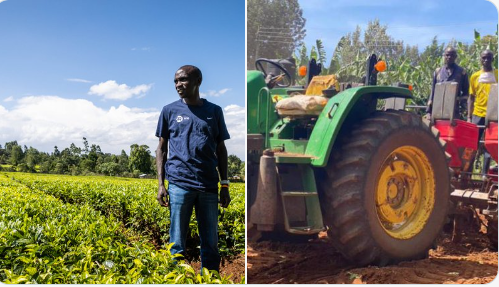 Inside Eliud Kipchoge's multi-million shilling farming business