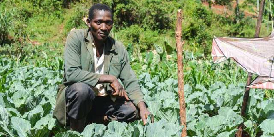 David Maina: I don't regret choosing farming in the village over hawking in Nairobi