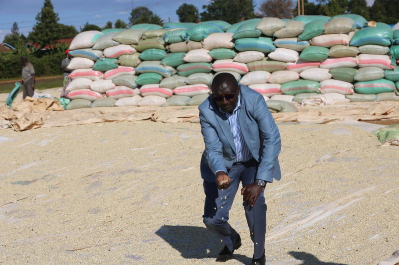 Millers Given 7 Days to Import Maize or Have their Licenses Revoked