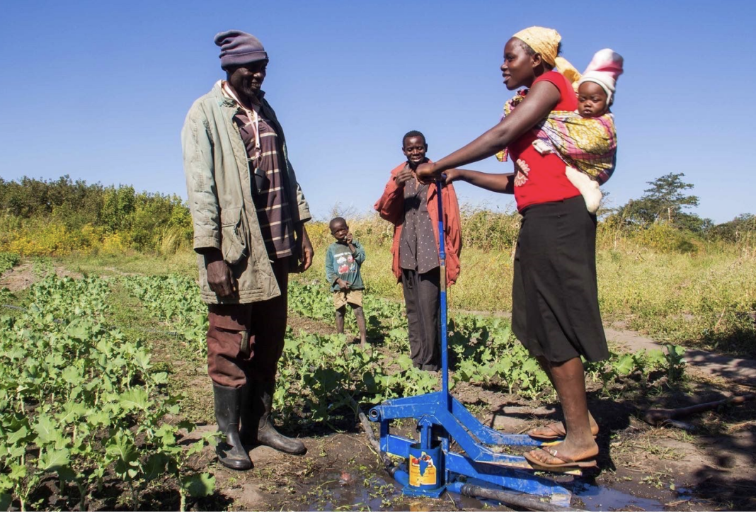 A small scale farmer uses the KickStart MoneyMaker irrigation pump, considered cheaper since it does not use power, to water crops - Bizna Kenya