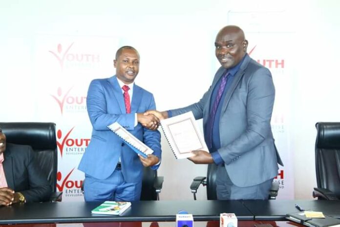 Youth Fund and Savannah Honey Partner to Empower Kenyan Youth in the Beekeeping Value Chain - Bizna Kenya
