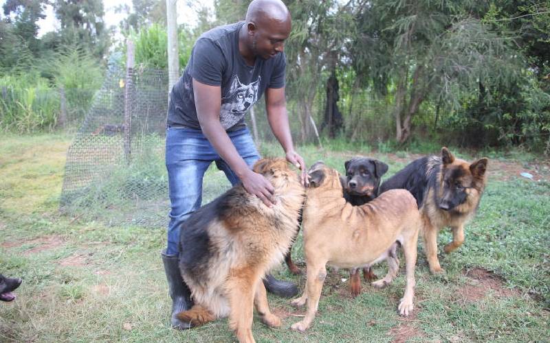 Raphael Kithinji: I made Sh. 16 million from keeping, selling dogs after quitting financial job