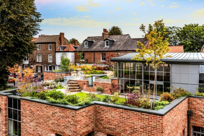 Greening the Skyline: How to Build and Enjoy a Rooftop Garden in the City - Bizna Kenya