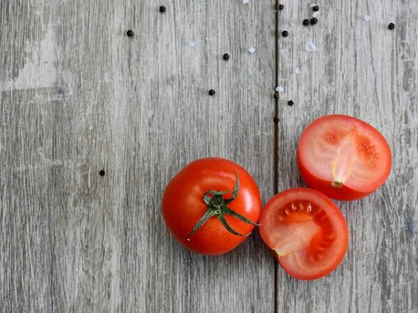 Tomatoes Farming in Kenya Manual