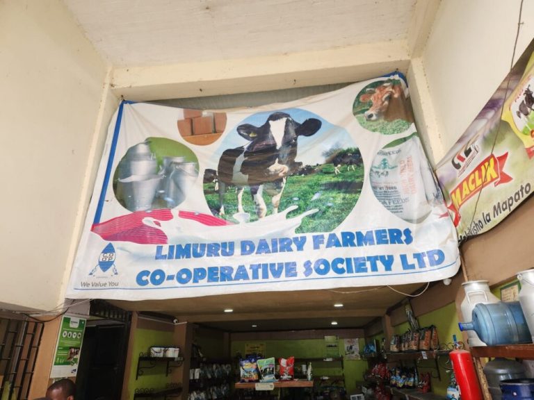 From smallholder to success: How cooperatives are driving farm growth in Kenya