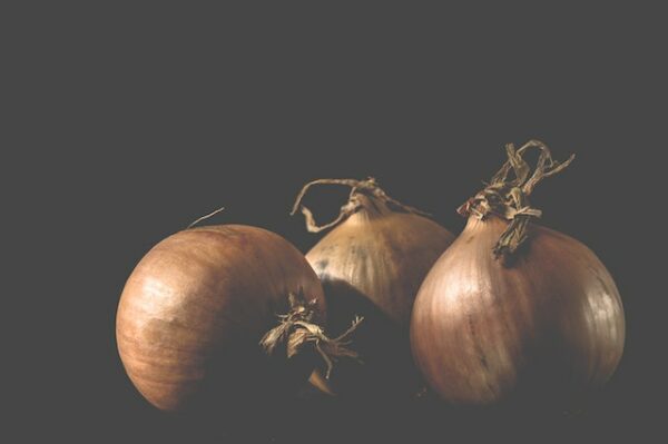 Onion Farming in Kenya Manual