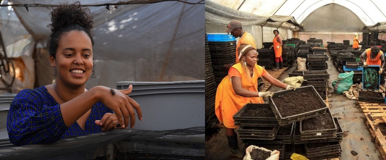 How 27-Year-Old Kenyan Mints Millions Per Month From Insect Farming