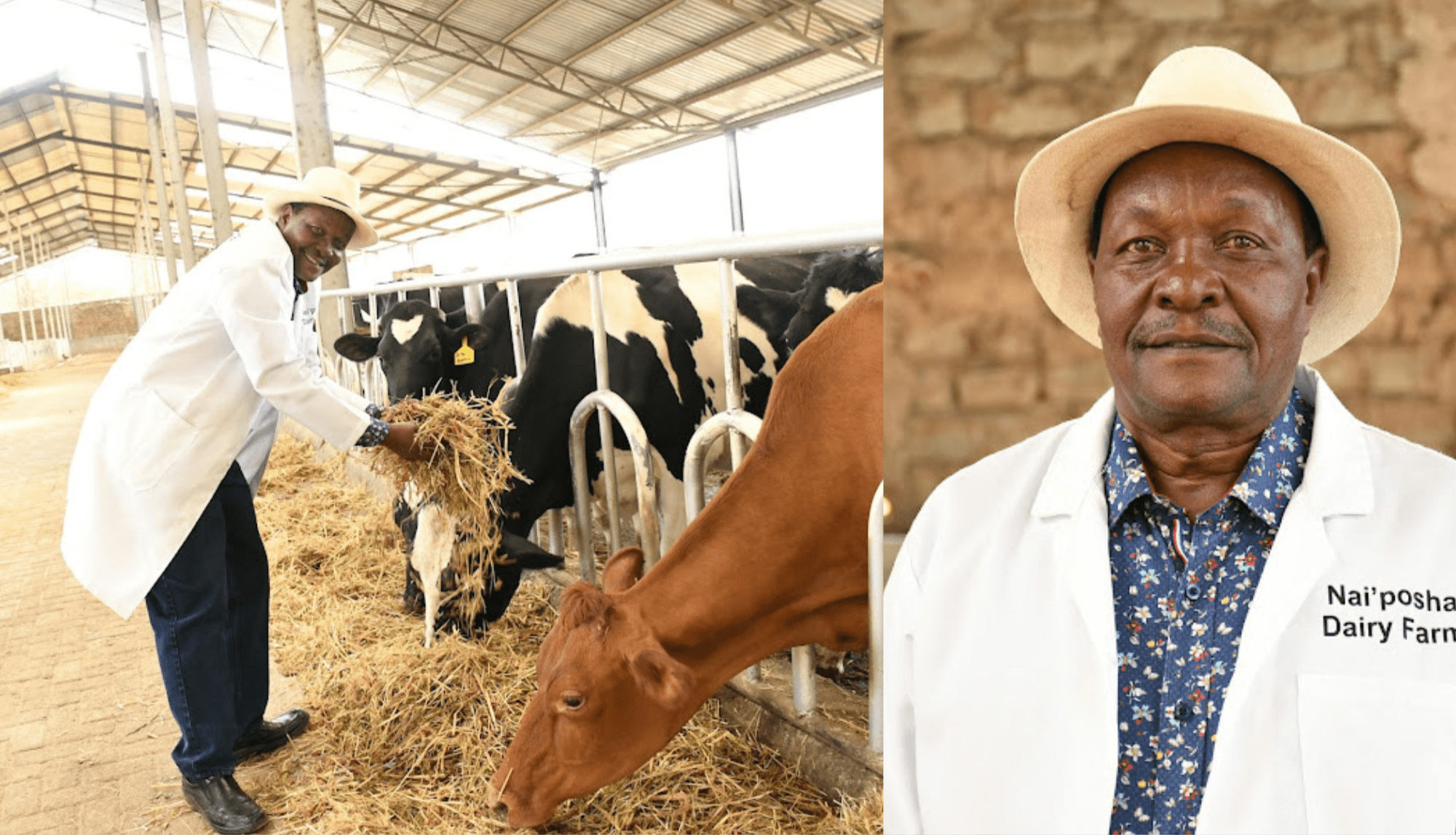 Martin Gatheca: From keeping cows as a hobby, to earning Sh. 50,000 daily from milk