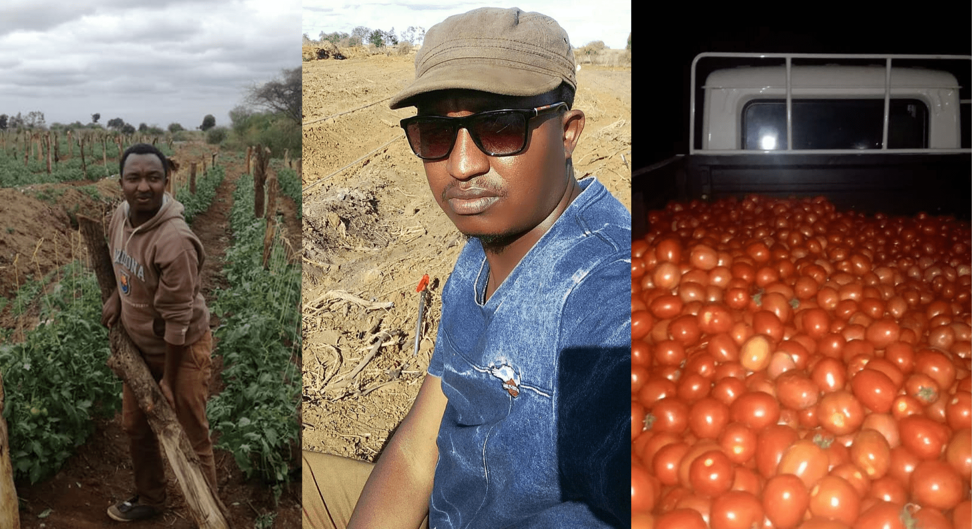 Steve Kiala: Friends asked me to see psychiatrist when I quit well-paying job for farming