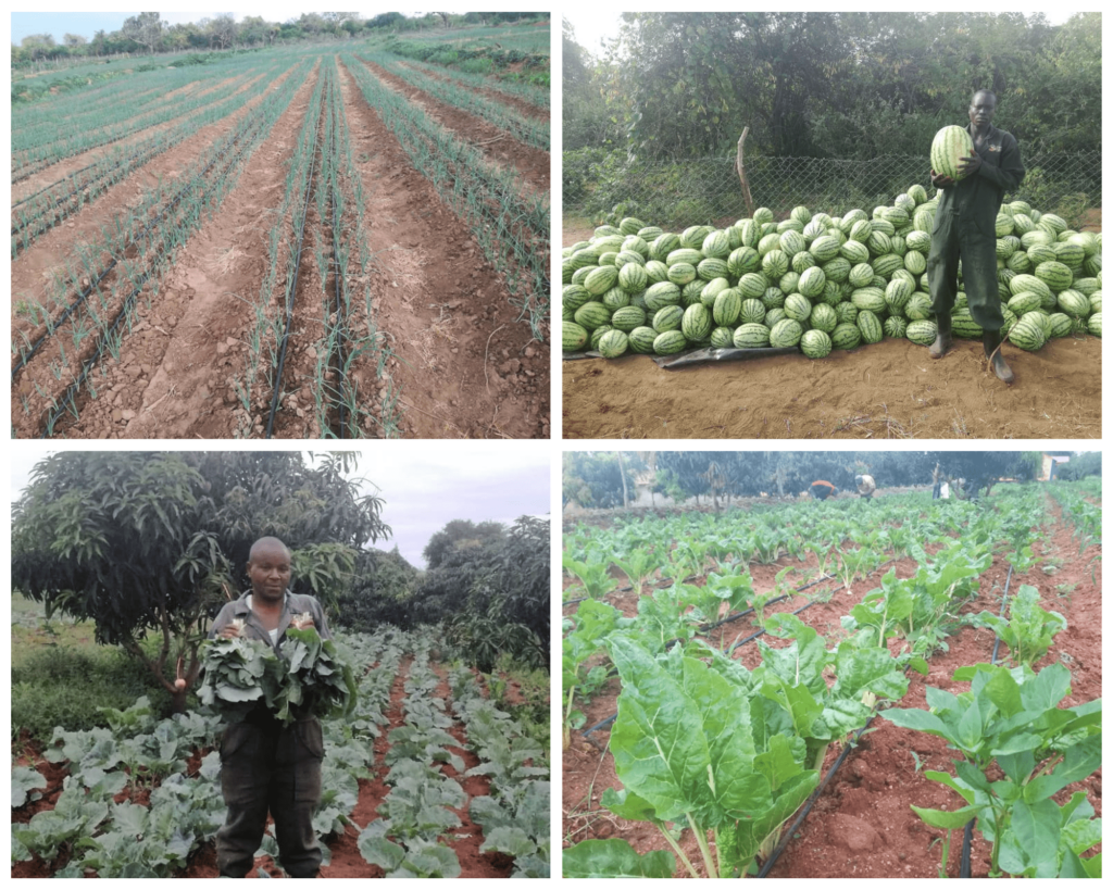 Steve Kiala: Friends asked me to see psychiatrist when I quit well-paying job for farming