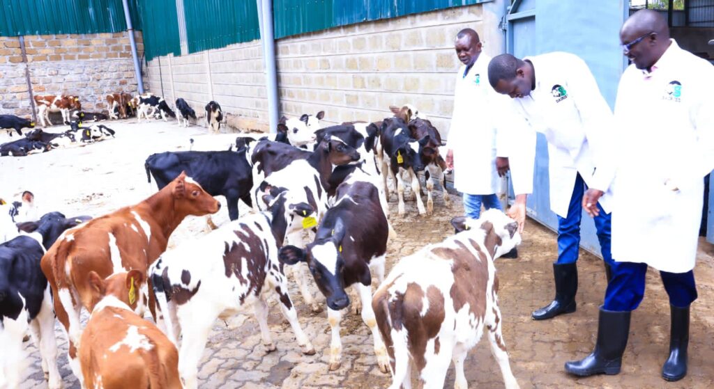Inside Oscar Sudi's multi-million dairy farm in Kapseret