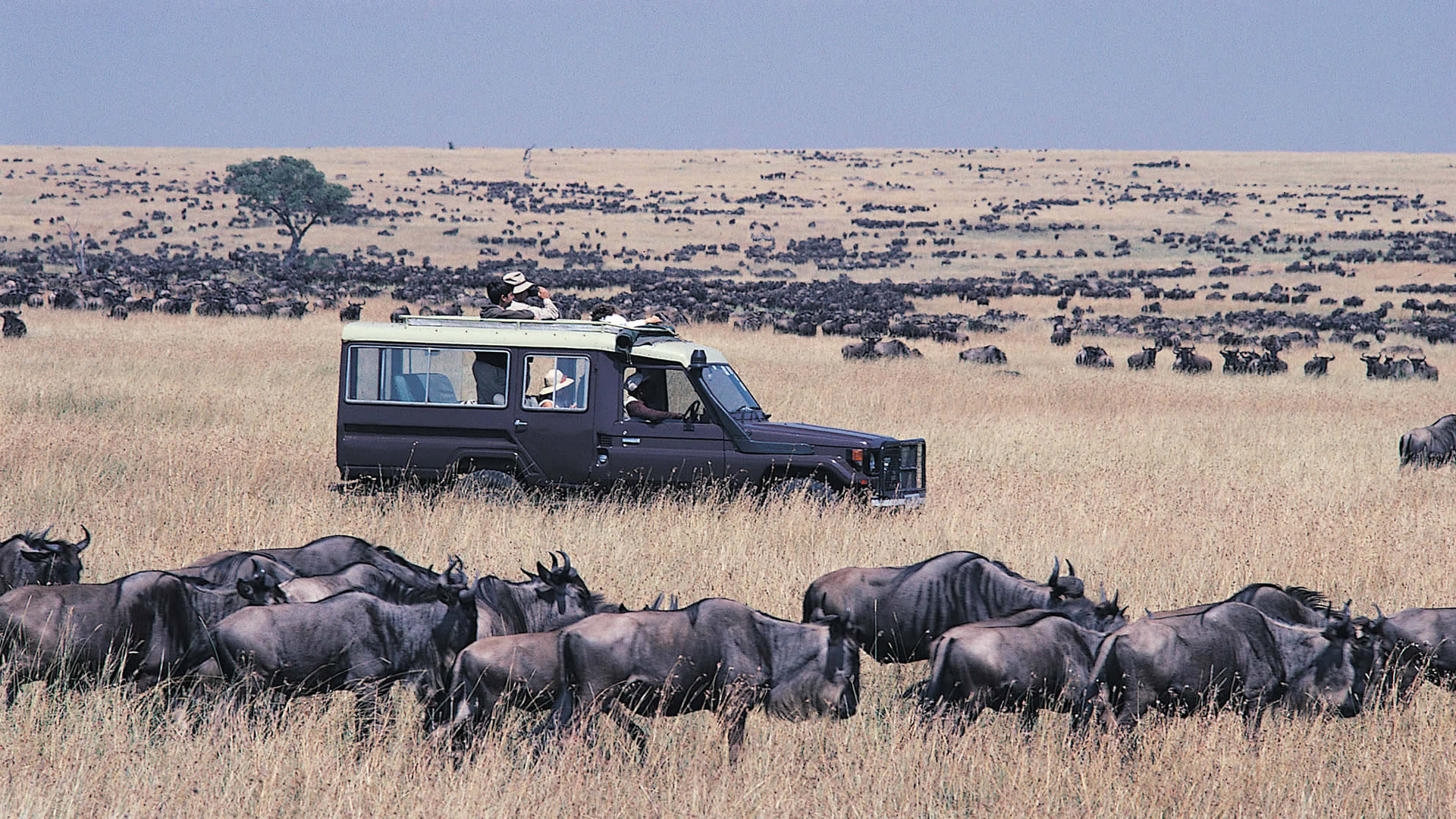 Kenyans, foreigners set to pay three times more to visit Maasai Mara